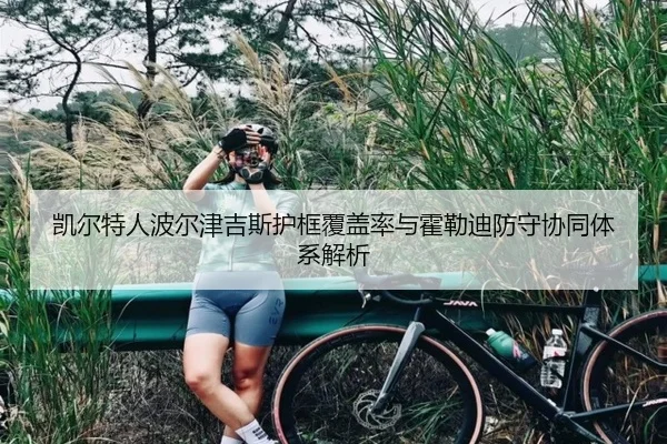 凯尔特人波尔津吉斯护框覆盖率与霍勒迪防守协同体系解析